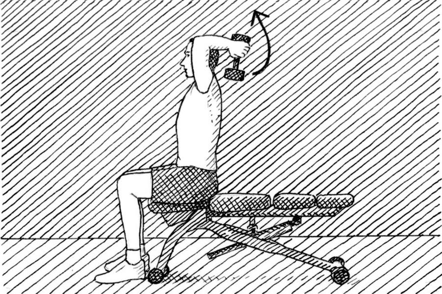 Seated tricep press technique diagram (Nick Hardcastle)